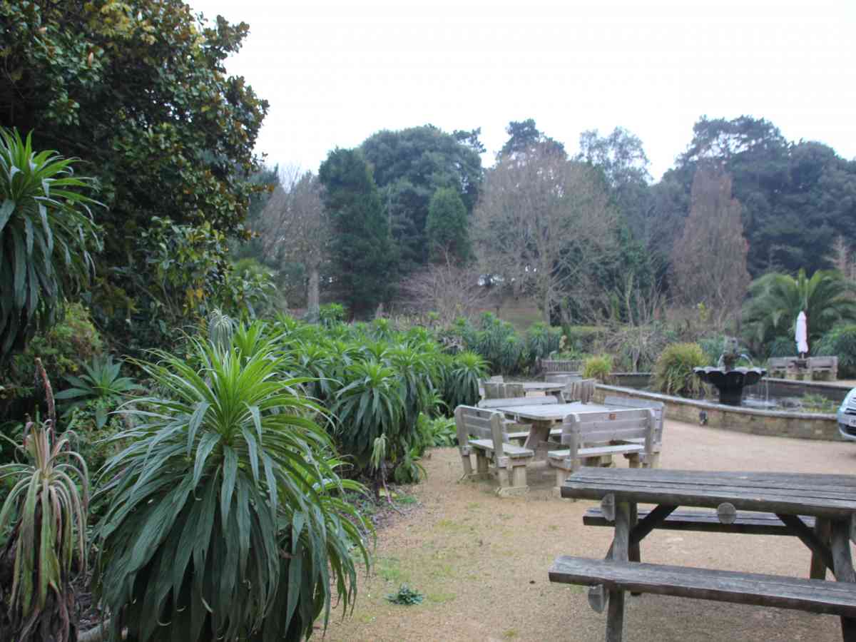 Ventnor Botanic Garden visitor image